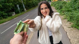Public Agent – The Fake Taxi Movie Episode Three: Sorry Martin