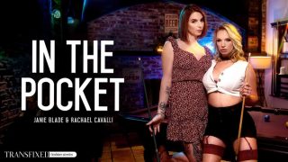 Trans Fixed – In The Pocket