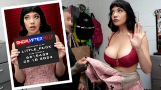 Shoplyfter – The Senator’s Wife